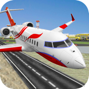 Airplane Pilot Flight