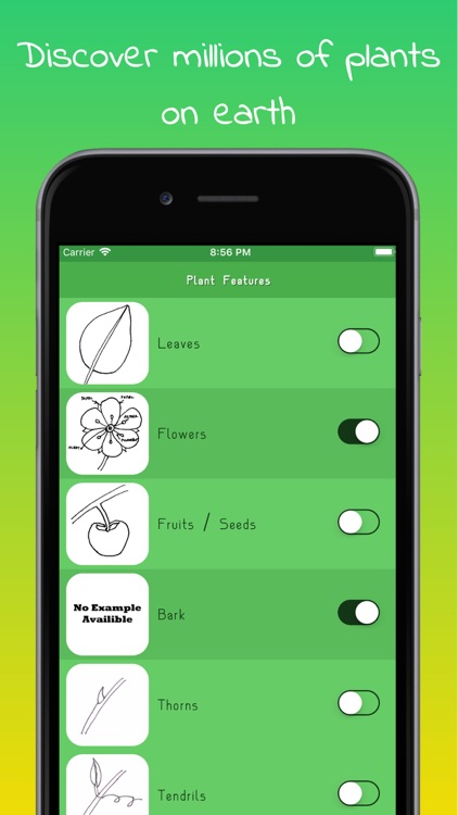 Plant Identifier - Offline