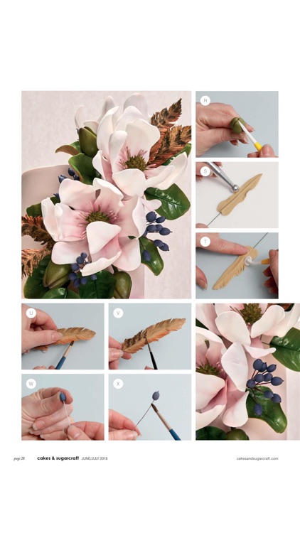 Cakes & Sugarcraft Magazine screenshot-3