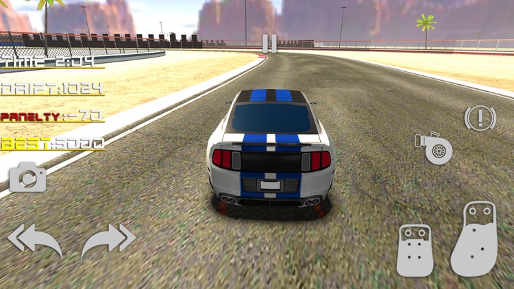 Pro Car Racing- Max Drift Zone screenshot-5