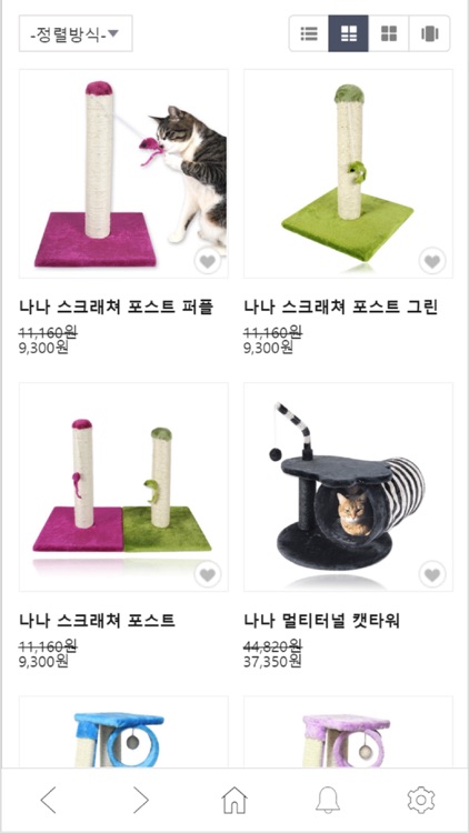 댕댕냥냥