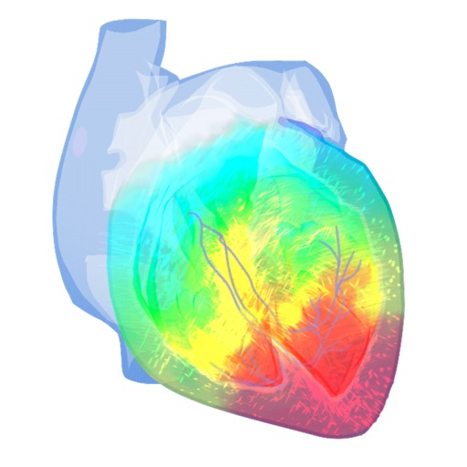 Epicardio Heart Simulator