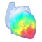 Developed for medical and nursing students and healthcare professionals who are interested in a deeper understanding of the ECG