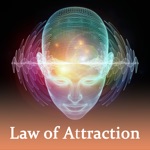 Manifest Anything You Want