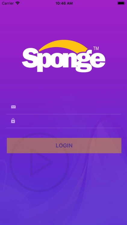 THE SPONGE