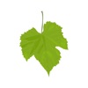 Nature Stickers for iMessage - iPhoneアプリ