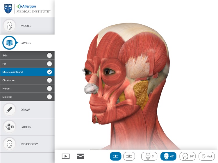 Interactive Anatomy - TW