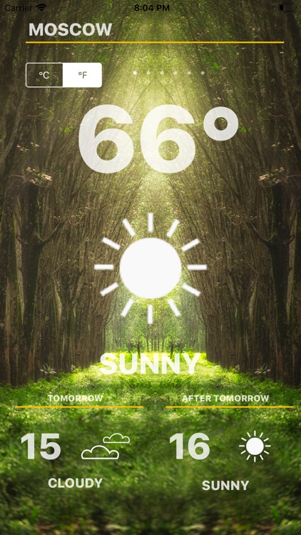 Weather - Global Forecast screenshot-3