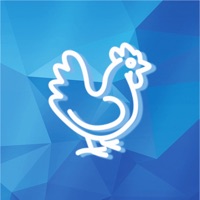 Poultry Farming Diary