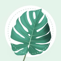 PlantMe: Plante Reconnaissance pour PC