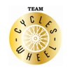 Team Cycles Wheels