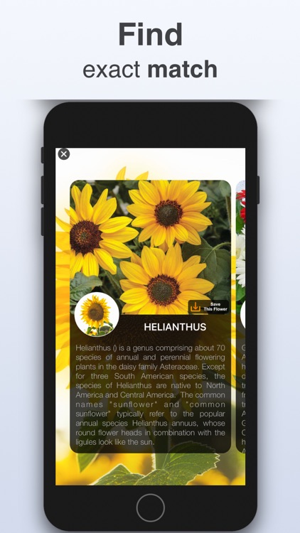 Plant Identifier - Scan Flower screenshot-3