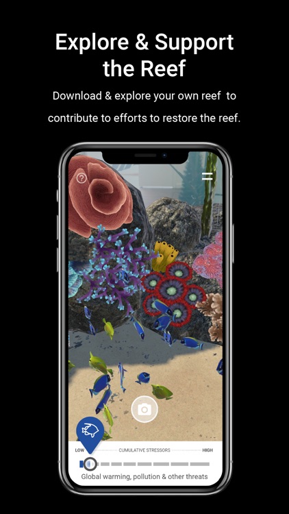 Recolour The Reef screenshot-3