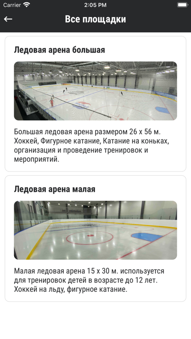 Ледовый дворец screenshot 2