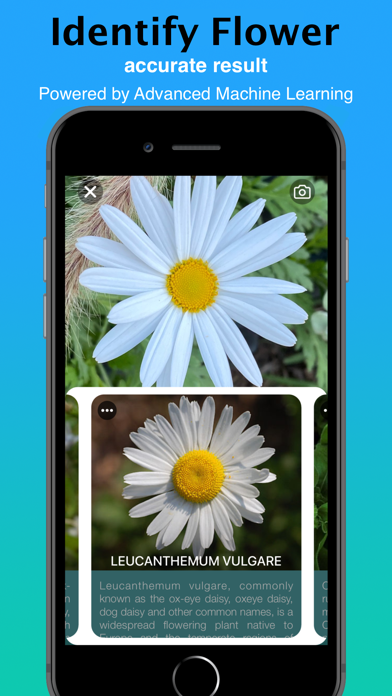 What Flower - Identify Flower screenshot 3