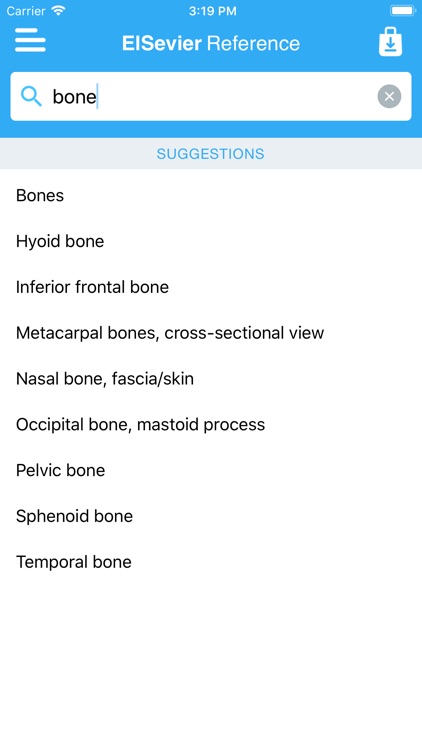 Muscular System Manual