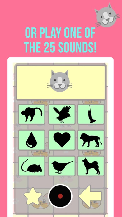 Crazy Cat Translator & Sounds screenshot 2