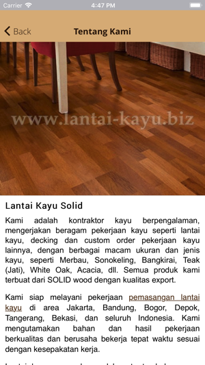 Lantai Kayu Solid(圖3)-速報App