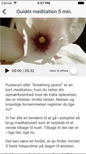 Mindfulness – bevidst nærvær(圖5)-速報App