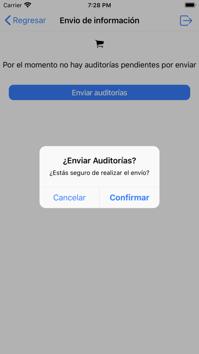 Auditores Application screenshot 3