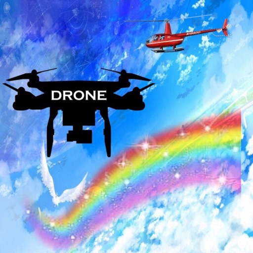 DroneBreaker