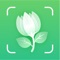 Welcome to PLANTit, an efficient plant identification application
