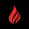 LiT is the primary place to access hundreds of free books by many of your favorite urban fiction authors