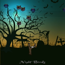 Night Birds