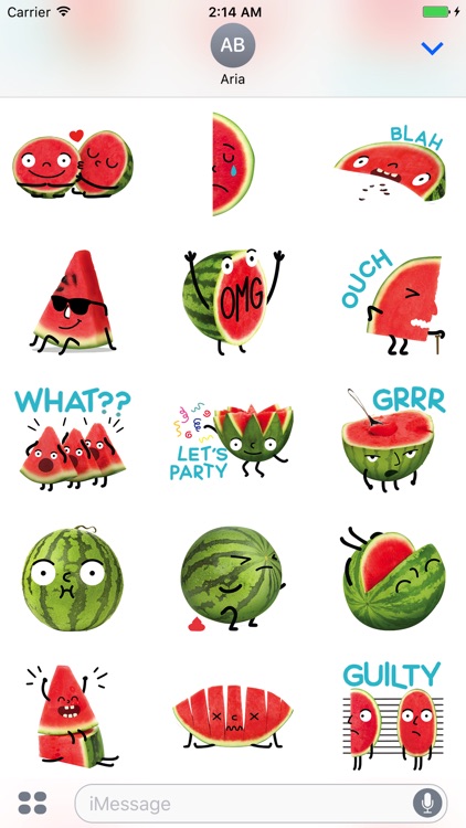 Watermelon And Penguin Sticker