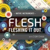 Fleshing It Out : Flesh 101