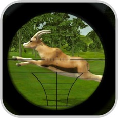 Activities of Sniper Shooter Animal Safari 3