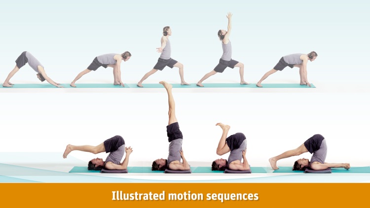 Yoga for Everyone: body & mind