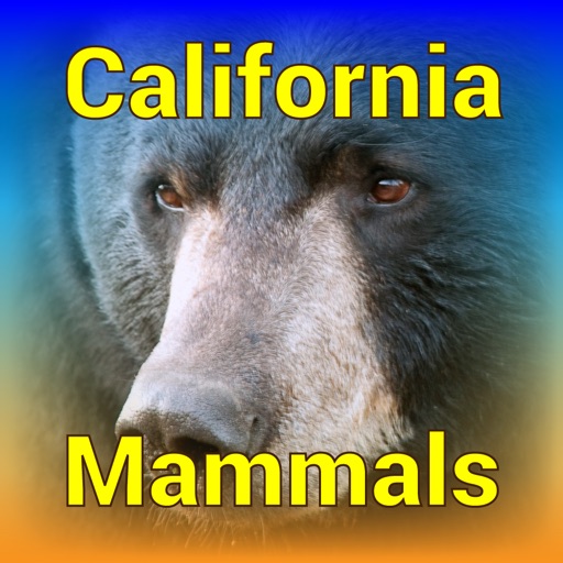 California Mammals