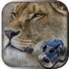 Hidden Object Safari - Animals