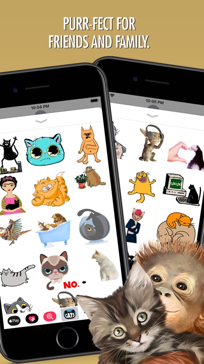 Cats Animated Text Stickers