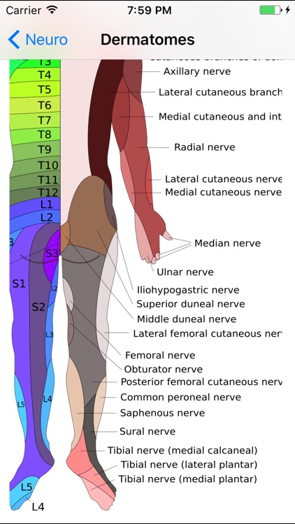 MSK Physio screenshot-4