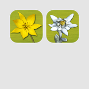 Wildflower and AlpineFlower Finder - field guide to identify wild flowers