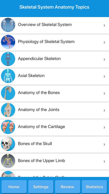 Skeletal System Anatomy