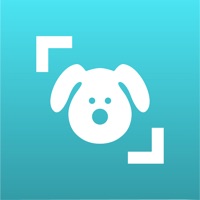 Dog Scanner App Download - Android APK