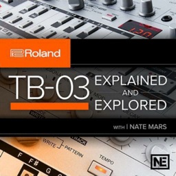 TB 03 Explained and Explored