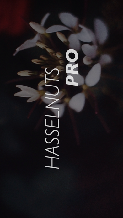 Hasselnuts Pro screenshot1