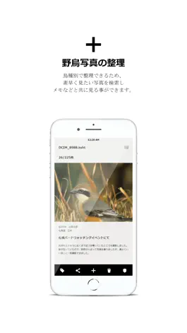 Game screenshot 自分野鳥図鑑 mod apk