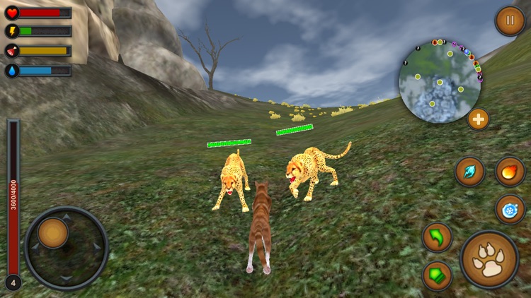 Cat Multiplayer