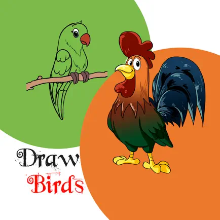 How to draw Birds Step by step Cheats