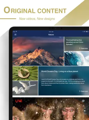 Screenshot 2 CGTN - China Global TV Network iphone