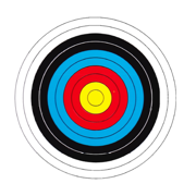 金教练射箭教学