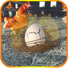 Activities of Crack The Egg: Chicken Farm