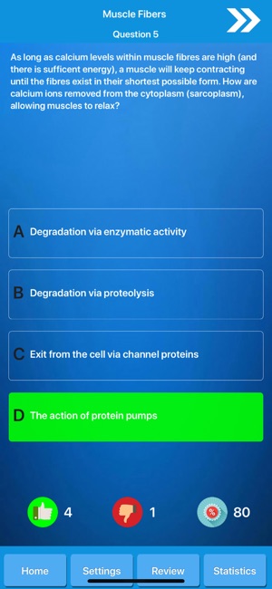 Muscle System Anatomy(圖5)-速報App