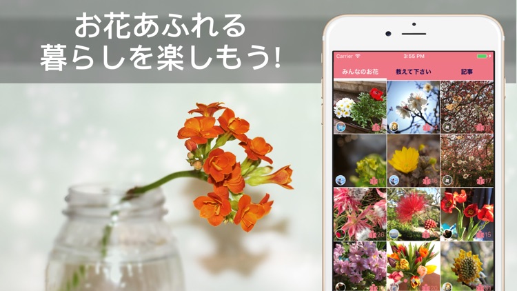 花・植物好きが集まる写真共有・図鑑アプリ-FLOWERY screenshot-4