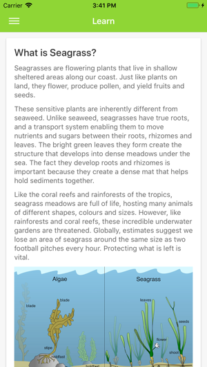 Seagrass Spotter(圖6)-速報App